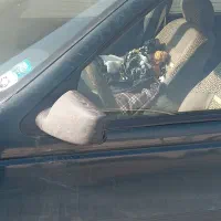 پژو آردی کولر بخاری دزدگیر