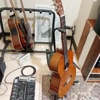 گیتار کلاسیک یاماها C40|گیتار، بیس، امپلیفایر|فردیس, فردیس|دیوار