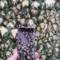 گوشی موبایل سامسونگ مدل Galaxy S8 G950FD دو سیکارت