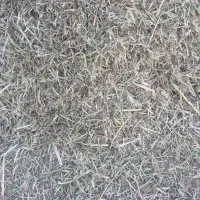 یونجه