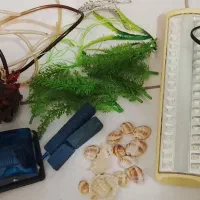 شن وسنگ اکواریوم|ماهی|ملایر, |دیوار