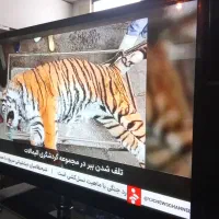 آل جی ۵۰اینچ کیفیت عالی