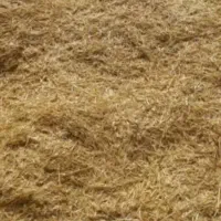 کاه گندم ۲۵۰ کیلو