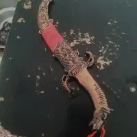 چاقو|کلکسیون اشیاء عتیقه|کوهدشت, |دیوار