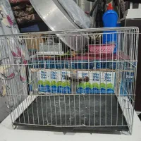 قفس قناری|لوازم جانبی حیوانات|کرمان, |دیوار