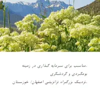 فروش زمین مساحت ۳۷ هزار متر و کارگاه پرورش ماهی|فروش دفتر صنعتی، کشاورزی، تجاری|گندمان, |دیوار