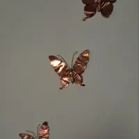 پروانه ی مسی