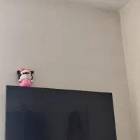 تلوزیون ۴۳ اینچ tcl