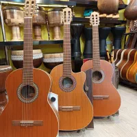 فروش گیتار پارسی اقساطی با کلاس رایگان