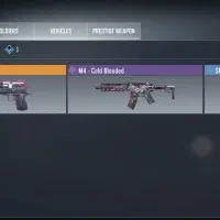 اکانت خوب  و خوش شانس