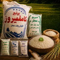 برنج عنبربو/فجر/کامفیروز /چمپا /برنج ایرانی ا ۱۶۵