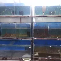 آکواریوم با پایه