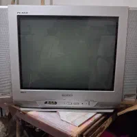 تلویزیون