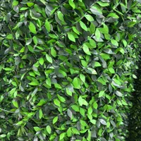 چمن مصنوعی.کارخانه دنیای چمن|مصالح و تجهیزات ساختمان|بندرعباس, |دیوار