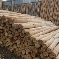 خریدار انواع چوب بابالاترین قیمت|خدمات باغبانی و درختکاری|کرمانشاه, |دیوار