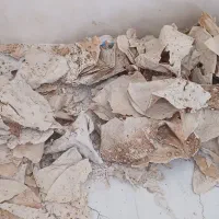 نان خشک نانوایی