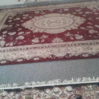 قالی