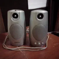 اسپیکر، موس و هدفن (قطع و وصلی دارند)