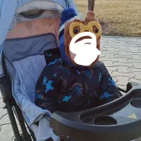 سرویس کالسکه|کالسکه و لوازم جانبی|بجنورد, |دیوار