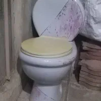 سرویس بهداشتی