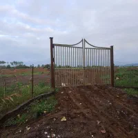 زمین کشاورزی ۹/۶۰۰متری مناسب‌کاشت‌کیوی در تالش|فروش دفتر صنعتی، کشاورزی، تجاری|اسالم, |دیوار