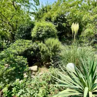 1550-متر-داخل-شهرک-برند-نوشهر