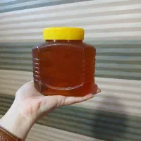 عسل تبریز|خوردنی و آشامیدنی|بندر ترکمن, |دیوار