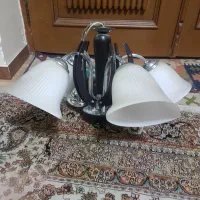 دوعددلوستریکی۵شاخه ودومی۲شاخه