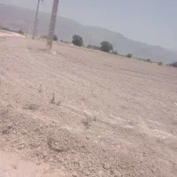 فروش یا معاوضه