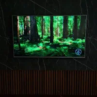 تلویزیون الجی