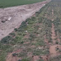 زمین کشاورزی درز سایبان