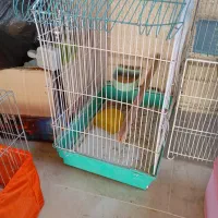 ده عدد قفس قناری مرغ عشق سهره