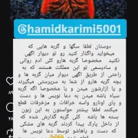 واگذاری گربه