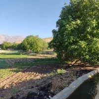 گاوکشه باغ و زمین خالی