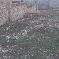 85 متر زمین پاپی خالدار سفلی