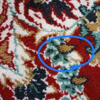 فرش ۹ متری|فرش|تبریز, |دیوار