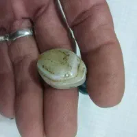 هنر باستانی|کلکسیون اشیاء عتیقه|بجنورد, |دیوار