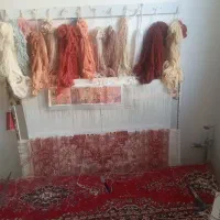 فرش دست باف نیمه کاره|فرش|ارومیه, |دیوار
