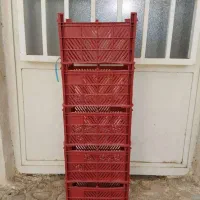 جعبه میوه (نو)|ظروف نگهدارنده، پلاستیکی، یکبارمصرف|گرمدره, |دیوار