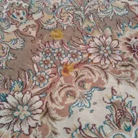 فرش ۱۲متری و ۶متری|فرش|بومهن, |دیوار