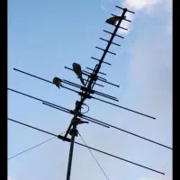 نصب پایه تلویزیون براکت|خدمات پیشه و مهارت|بجنورد, |دیوار