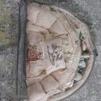 تشک بازی نوزاد