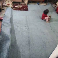 پالازموکت ۱۲ متری|موکت|قرچک, میرزائی شمالی|دیوار