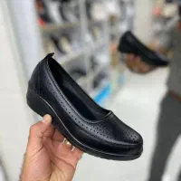 کفش اسپرت رسمی کالج زنانه مردانه بچگانه|کیف، کفش، کمربند|ابرکوه, |دیوار