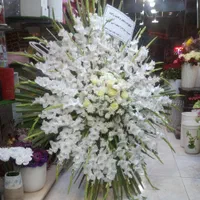 گلفروشی پاراگل|گل و گیاه طبیعی|اهواز, پادادشهر|دیوار