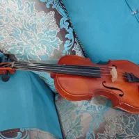 ویولن T.F|ویولن|کازرون, |دیوار