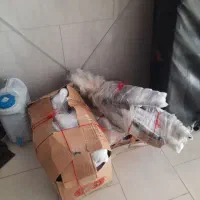 موتور|موتورسیکلت|اشنویه, |دیوار