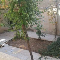ویلایی کلنگی ۲۲۰ متر ،  منطقه ولیعصر