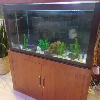 اکواریوم کمد ام دی اف|لوازم جانبی حیوانات|صوفیان, |دیوار