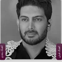 بلیط کنسرت فرزاد فرزین